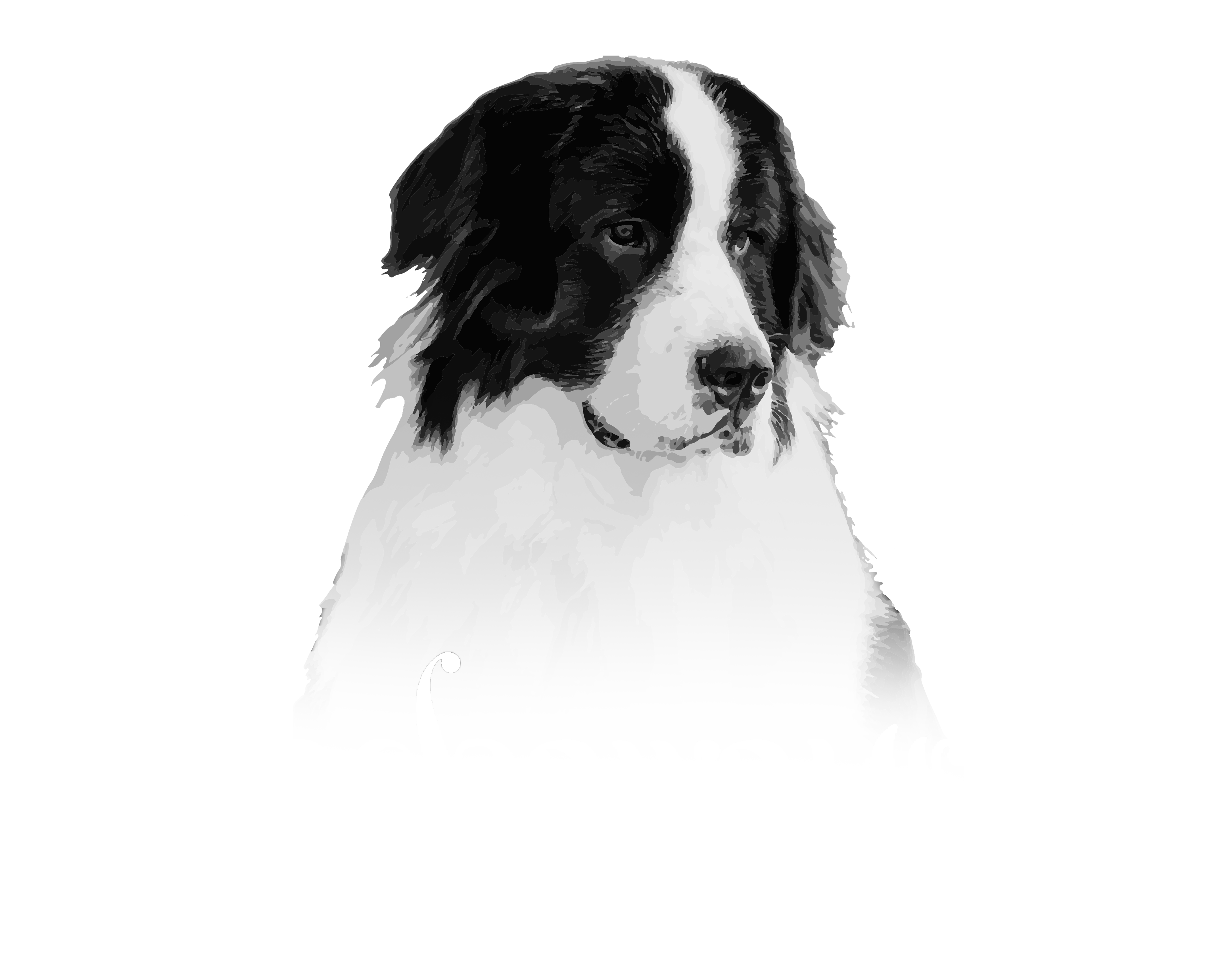 Pachawayra