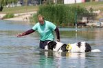 Spring Water Camp Senec 2025